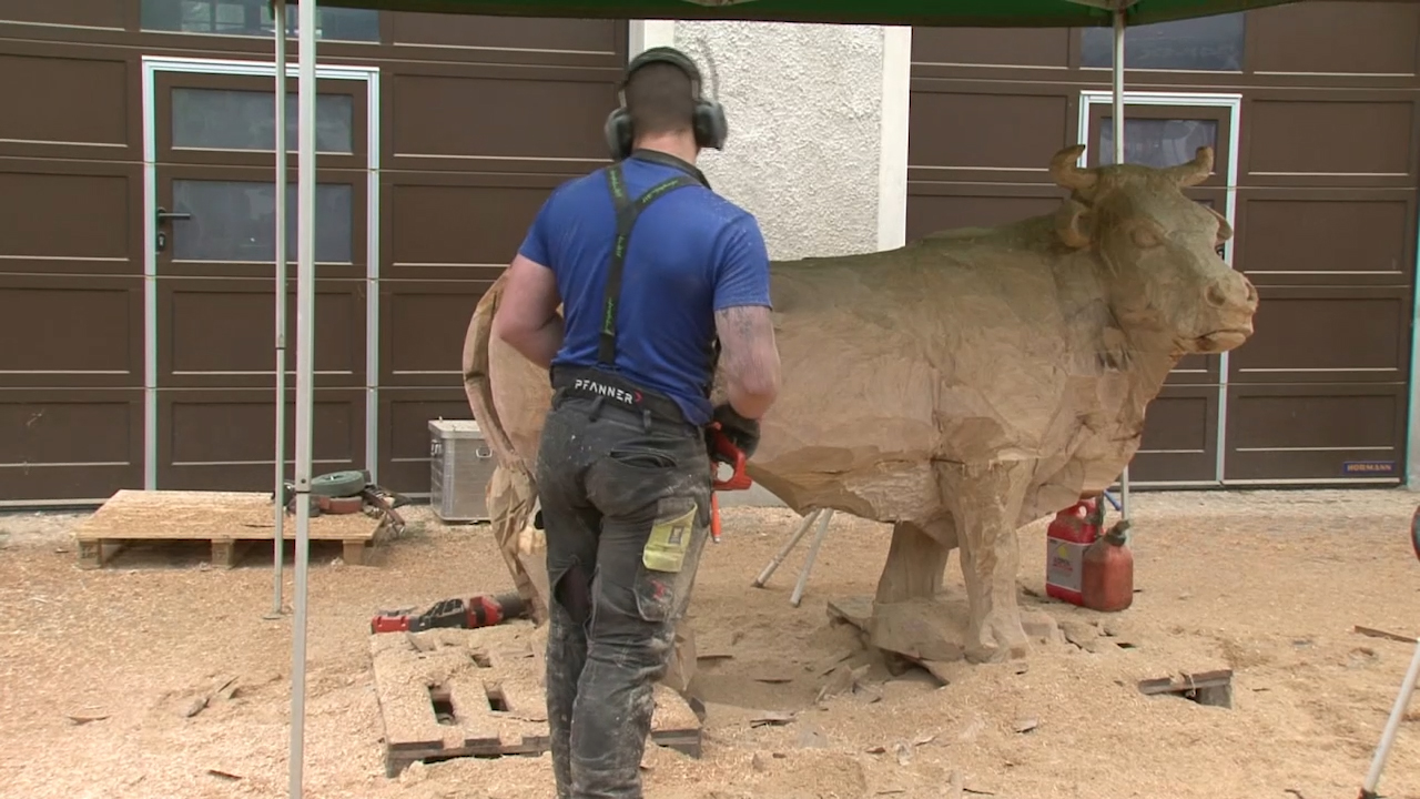 MEgional mit dem Kettensägenevent in Gelenau MEgional mit dem Kettensägenevent in Gelenau