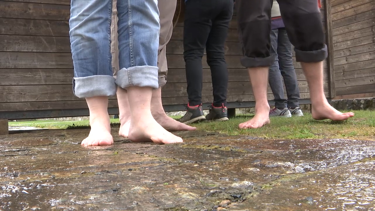 MEgional am 02. Mai 2019 mit dem Anwandern am Kammweg MEgional am 02. Mai 2019 mit dem Anwandern am Kammweg